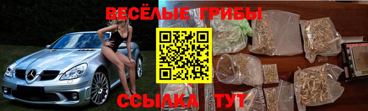 Псилоцибиновые грибы Psilocybine cubensis  Псилоцибиновые грибы ЛСД  Сибай  Вход с VPN 